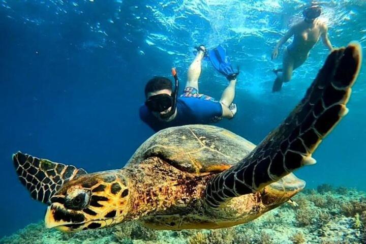 Zavana Rooms & Restaurant Tanjungkarang Dış mekan fotoğraf