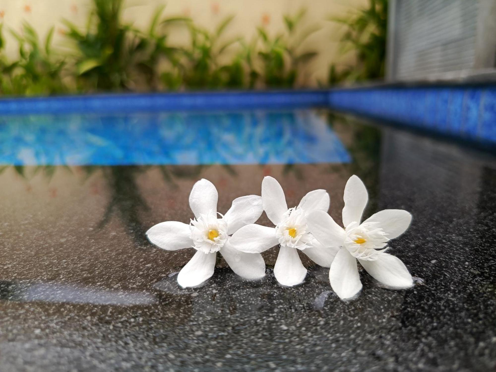 Zavana Rooms & Restaurant Tanjungkarang Dış mekan fotoğraf